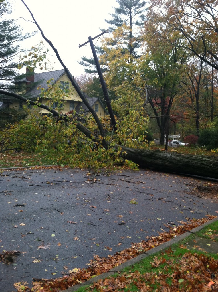 Hurricane Sandy Destruction 5